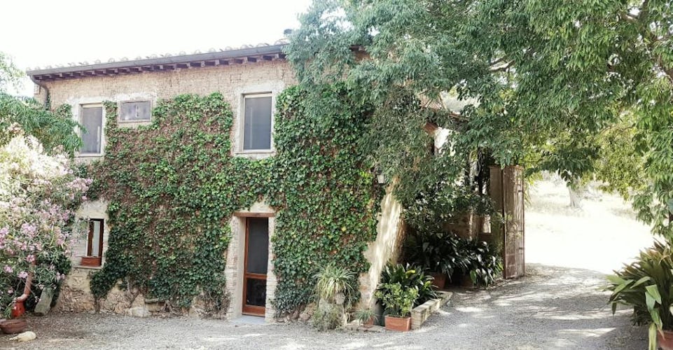 Agriturismo La Valentina - Country Tuscan home with fabulous holiday accommodations